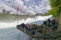 _MG_9477_DxO-1 _MG_9477_DxO-1